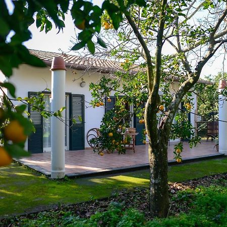 Agriturismo Piccolo Canyon Apartment Piano di Sorrento Exterior photo