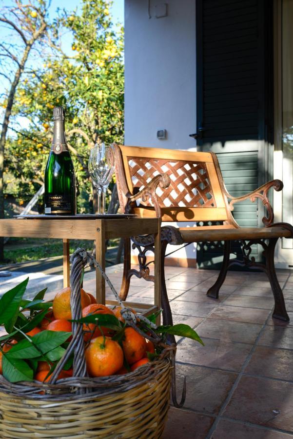 Agriturismo Piccolo Canyon Apartment Piano di Sorrento Exterior photo