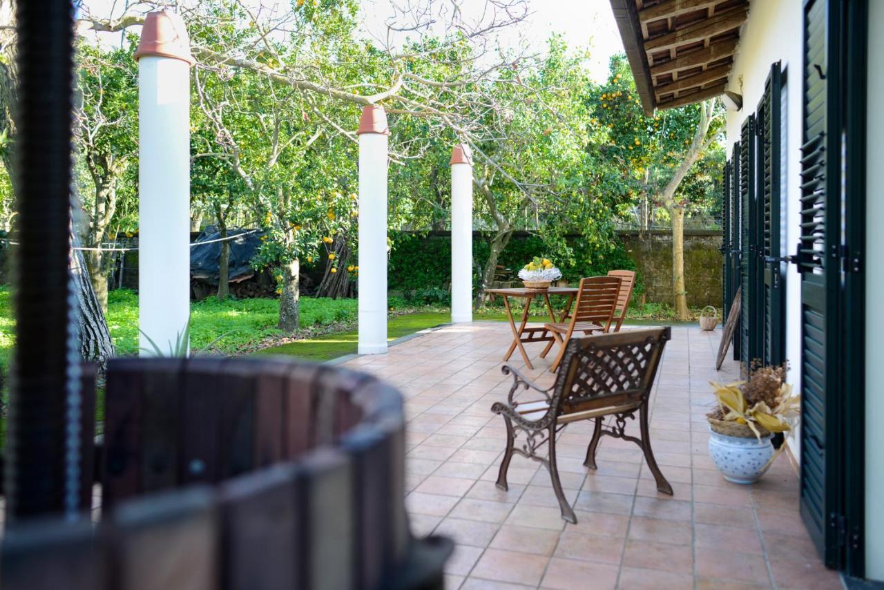 Agriturismo Piccolo Canyon Apartment Piano di Sorrento Exterior photo