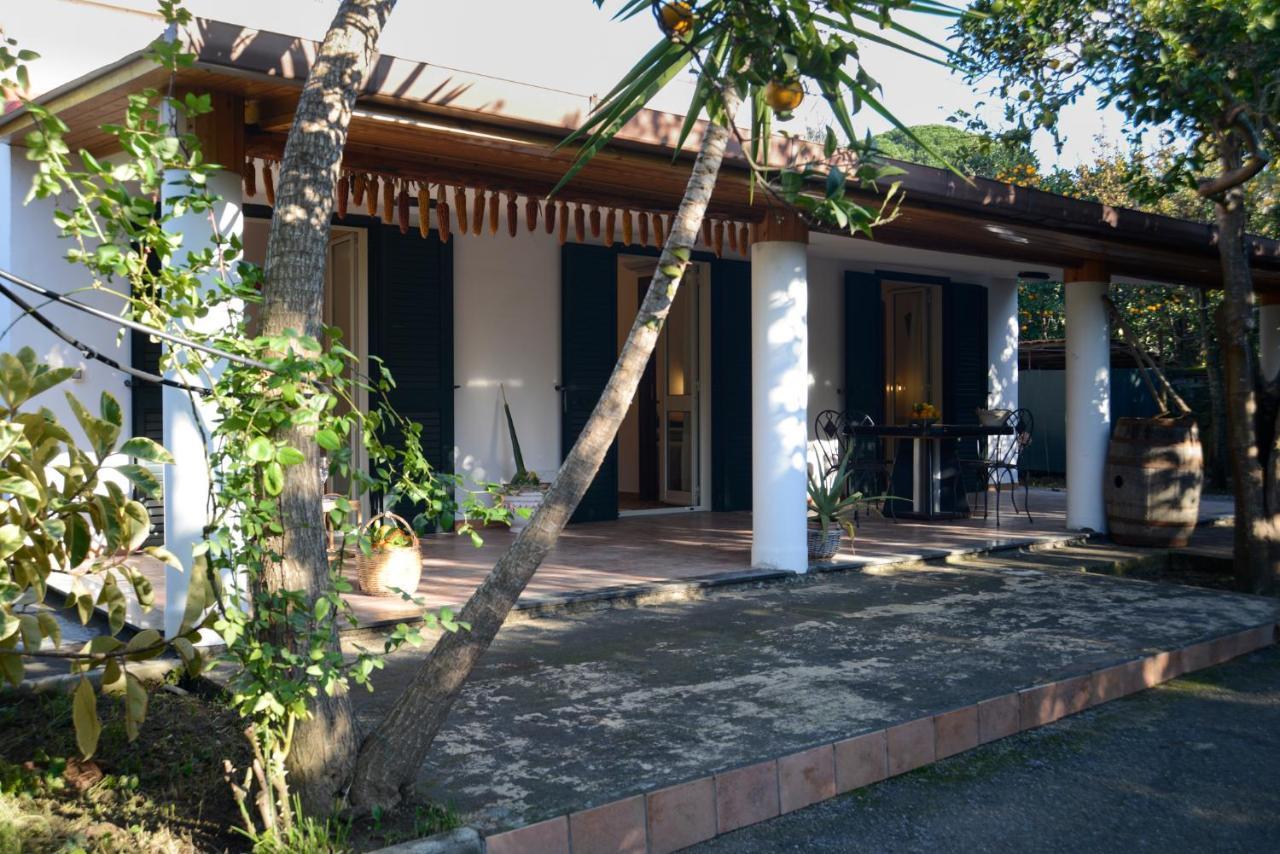 Agriturismo Piccolo Canyon Apartment Piano di Sorrento Exterior photo