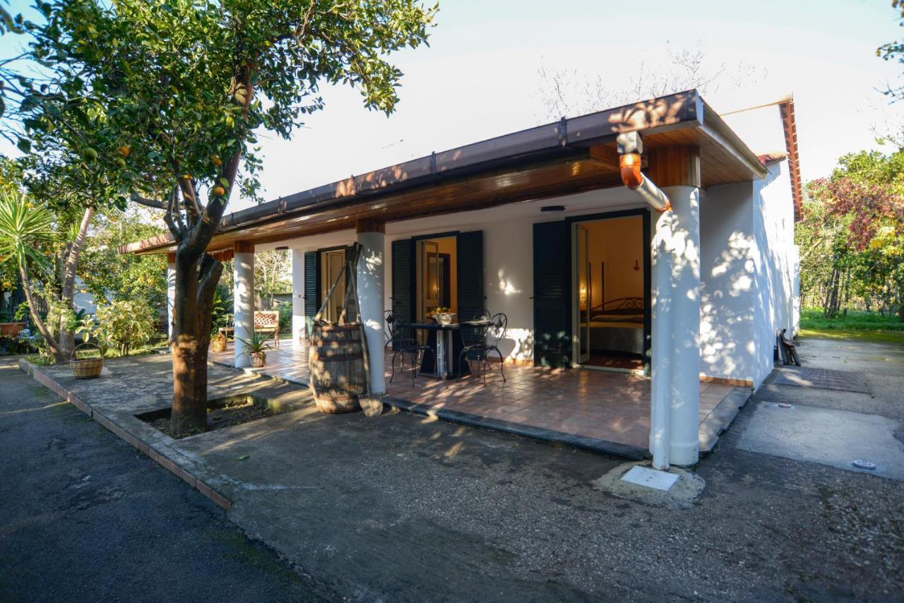 Agriturismo Piccolo Canyon Apartment Piano di Sorrento Exterior photo